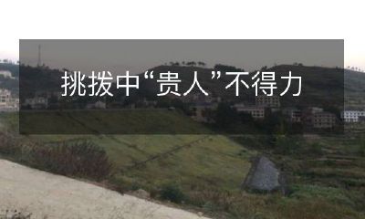 社交媒体上的挑拨行为导致名人和精英遭受严重打击，失去价值