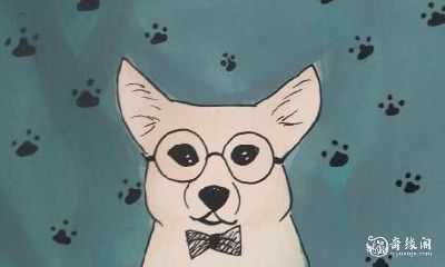 撞到狗是否会带来不祥之兆？从吉凶忌讳的角度分析电动车与狗的碰撞事件