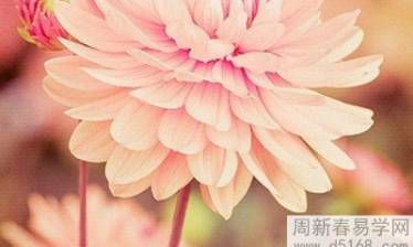 利用风水布局来增加个人桃花运的方法与技巧