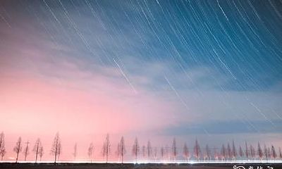 1990年11月初七属马的八字农历命盘解读：揭示这个人的性格、职业、婚姻、财运、健康等各个方面的情况