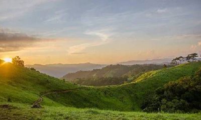 - 风险高！2021年易受金融诈骗的星座女性名单揭晓