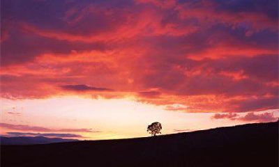 通过手相识别贵人纹，了解你深藏的贵人在何处注目你