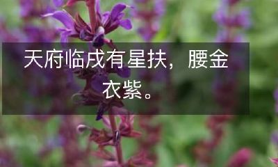 天府之地现有神耀星辉相助，身披腰带金甲紫衣华丽绝伦