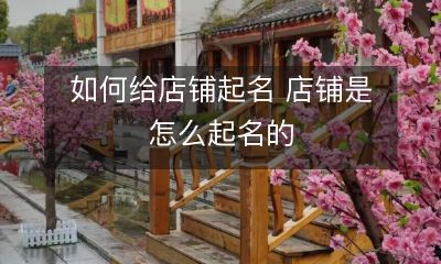 探究店铺命名的奥秘：如何给你的店铺起一个恰当的名字？