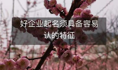 好企业起名的关键是要具备易于识别的特征