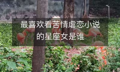 哪个星座的女生最爱沉溺于苦情虐恋小说之中？