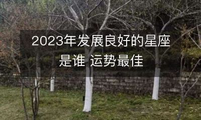 预测2023年哪个星座将表现出色并拥有最佳运势