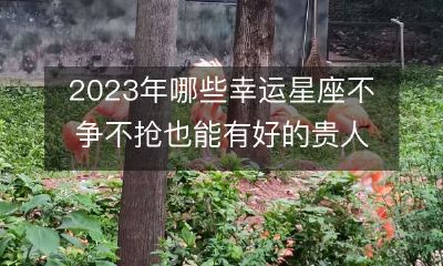2023年，有哪些幸运星座不需争夺，也可享受到拥有贵人助力的好运？
