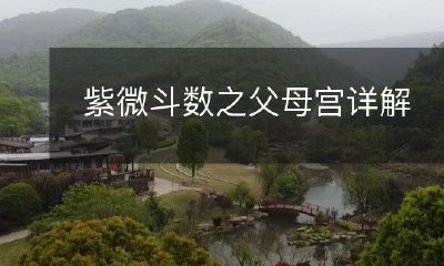 深入探究紫微斗数中的父母宫：解析其内涵与应用方法