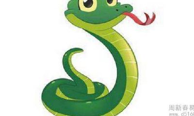 2022年属蛇人的哪些领域将享受最佳运势？神奇方式：如何通过庆祝喜事来化解这一岁犯难题？