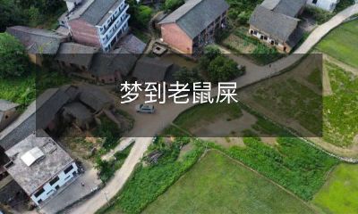 在梦中见到老鼠排泄物：可能的意义和解释是什么？