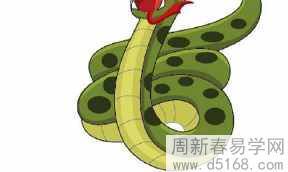 未来五年属蛇的人运势和运程将如何发展，详细探究！