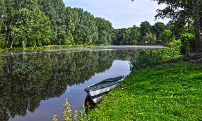 1987年9月生肖属兔的人的婚姻运势究竟如何？哪些属相最适合成为其最佳婚配呢？