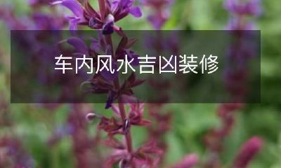 如何在车内进行风水布局装修，提高幸福指数及避免不吉之气的影响？