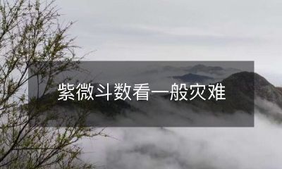 紫微斗数如何预测和应对一般灾难：探寻神秘技艺的应用与实用价值