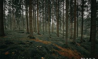 【本命年感冒】是否会影响【本命年运势】的走向？