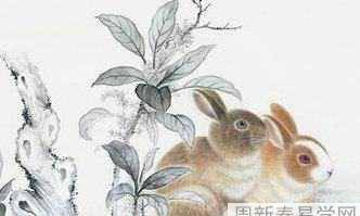 究竟是哪些人会成为生肖属兔人一生的贵人，而又有哪些属相会成为其最大的克星呢？