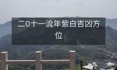 二0一一年度紫白星位及其吉凶影响方向分析