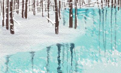 韩国传统文化中，中秋节是一年中最重要的传统节日之一，那么韩国中秋节的庆祝时间究竟是什么时候呢？