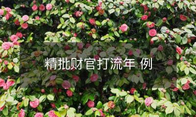 精准批判财政官员政策决策的实效与趋势：通过流年的案例分析