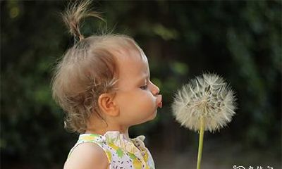 壬申日女性的命运如何？哪个时辰适合出生的壬申日人？