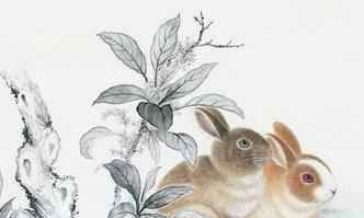 属兔女性的出生月份对她们的命运影响如何？