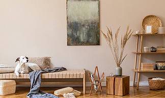 如何选择适合旺财的电视背景墙颜色？ 五种颜色选择方案解析