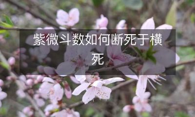 紫微斗数的指导如何帮助你预测横死的命运并采取措施避免这种可怕的命运？