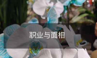 如何利用面相来预测并选择最适合自己的职业？