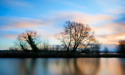 探究旺夫面相的特征：是否能成为一个有神温柔眼神的女孩子的婚配对象？