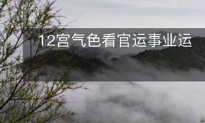 通过12宫气色来预测个人官运与事业运发展的可能性