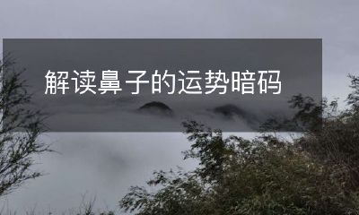 探究鼻子在命运中的藏括密语：揭秘鼻相对运势的解读奥秘