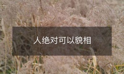 而非能力，但能力通常是更可靠的衡量标准：为什么我们不能只关注外表，而需要注重实力素质？