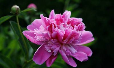 探秘风象星座的讨人喜欢的优势：你知道有哪些吗？