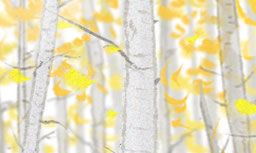 巨蟹座自信心满满的情人节送花手册，帮助你们的感情在浪漫之夜达到最高潮！