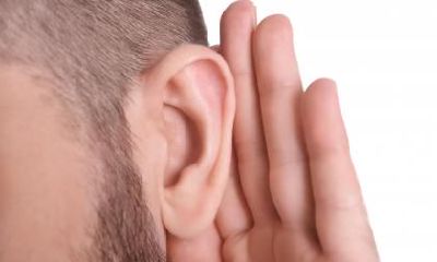 分析连心眉男人是否会离婚并对其命运进行预测