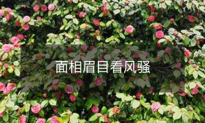 通过面相和眉目，观察一个人的气质和魅力