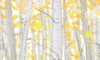 如何在2014年八月确定合适的安葬吉日？—一份详尽指南