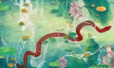 如何在风水布置方面利用属蛇的优势以寻找最佳的商业机会？