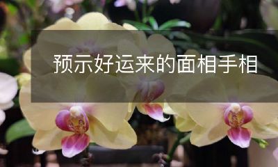 掌握在你手中：如何识别面相和手相预示好运？