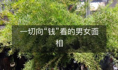 男女面相暴露出的“金钱至上”心态