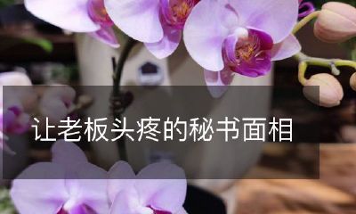 让老板烦恼的秘书面貌: 如何在职场中保持好的印象以避免给老板带来压力