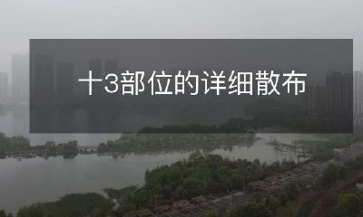 十三个人体部位的详细分布解析