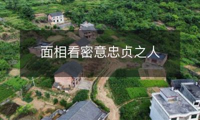 面相细看揭示内心忠贞之德的人