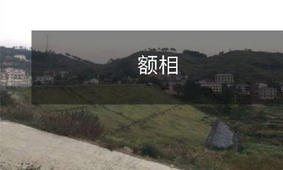 信任度与客户忠诚度之间的正向关系：探究基于品牌声誉和服务质量的影响因素