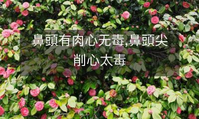 鼻尖过于削尖，心中太毒；相反，鼻尖略有肉感，心中无毒