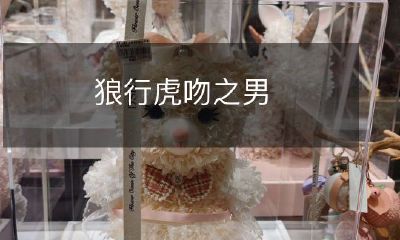 子侠义情：一位勇敢男子的奋斗与爱情故事