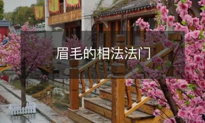 探究眉毛的图形、颜色与形态的识别技巧与方法