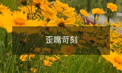 的评论，如何影响网上话语氛围及其解决之道？