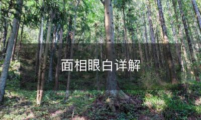 深入解析通过面相识别眼白变化的意义及分析方法